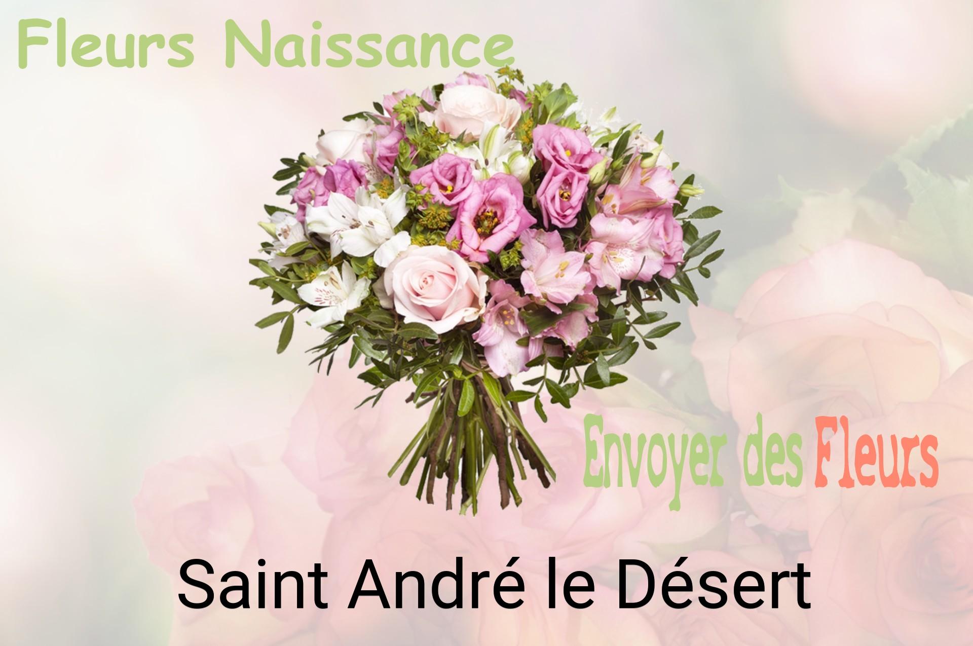 Bouquet de fleurs de naissance livré à Saint-André-le-Désert